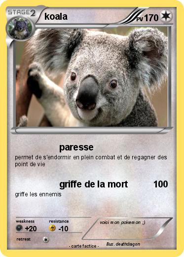Pokemon koala