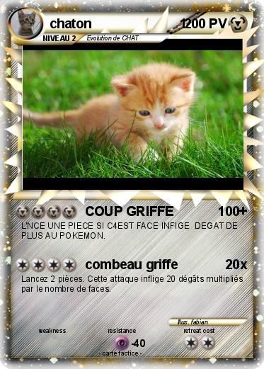 Pokemon chaton                        1
