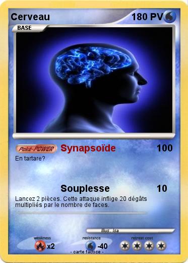 Pokemon Cerveau