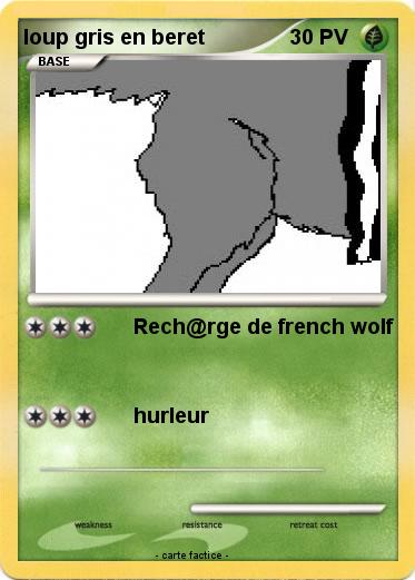 Pokemon loup gris en beret