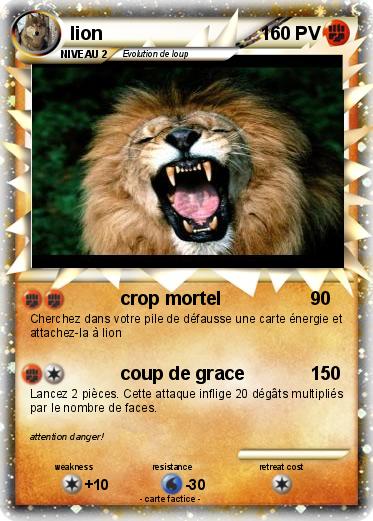 Pokemon lion