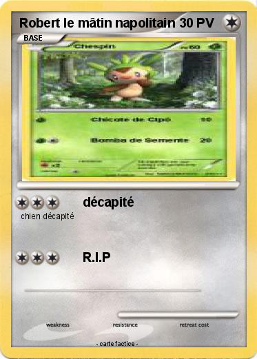 Pokemon Robert le mâtin napolitain
