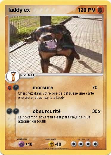 Pokemon laddy ex