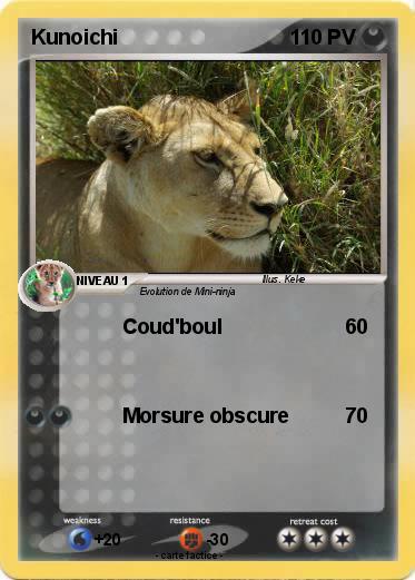 Pokemon Kunoichi