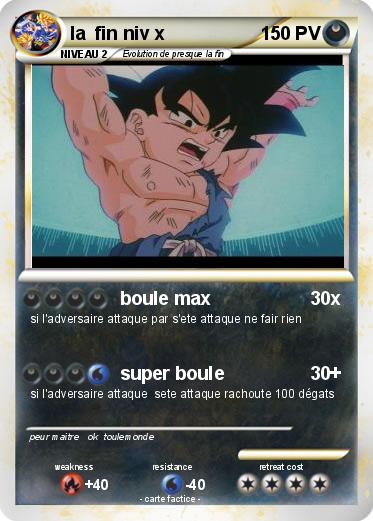 Pokemon la  fin niv x