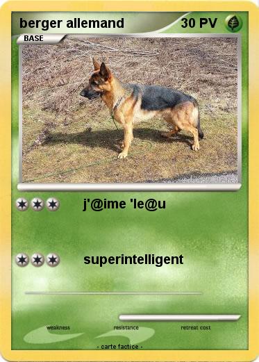 Pokemon berger allemand