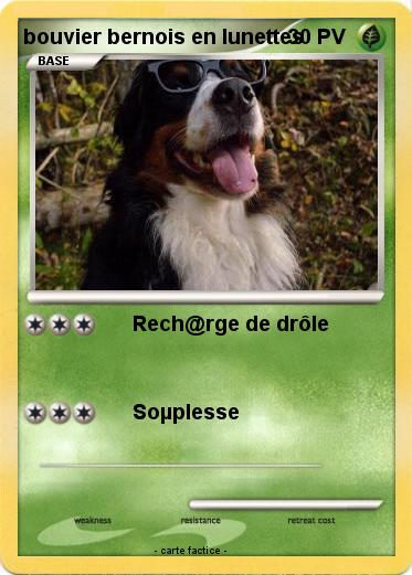 Pokemon bouvier bernois en lunettes