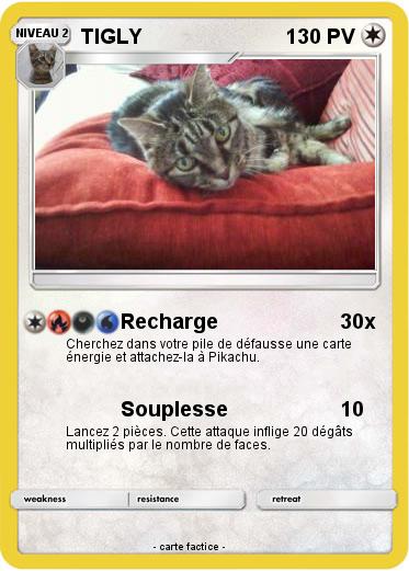 Pokemon TIGLY