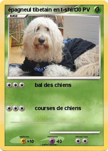 Pokemon épagneul tibetain en t-shirt