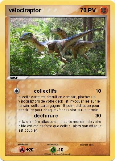 Pokemon vélociraptor