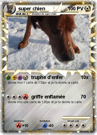 Pokemon super chien