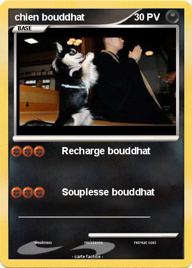 Pokemon chien bouddhat