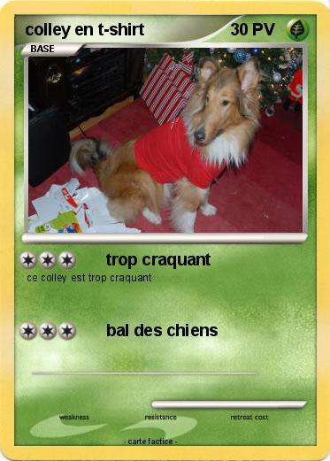 Pokemon colley en t-shirt