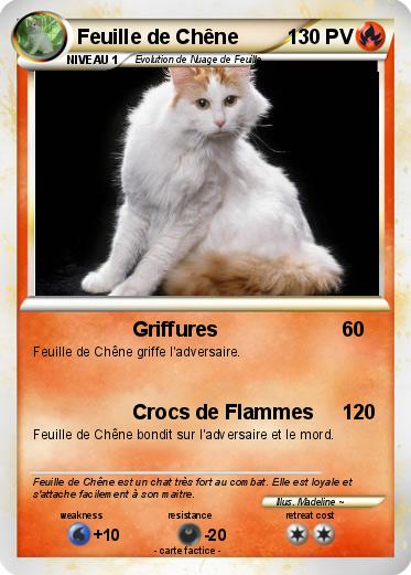 Pokemon Feuille de Chêne