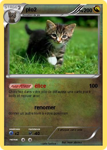 Pokemon plo2