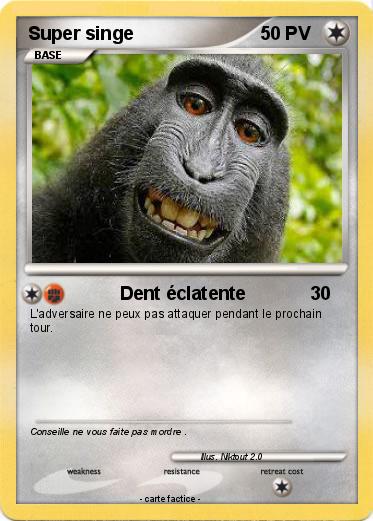 Pokemon Super singe