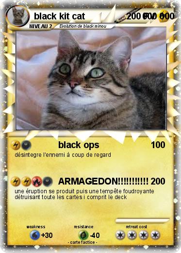 Pokemon black kit cat                       000 000