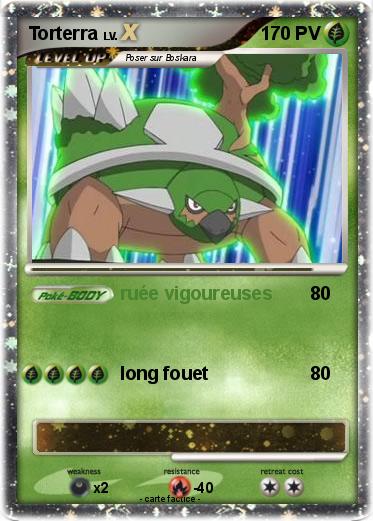 Pokemon Torterra