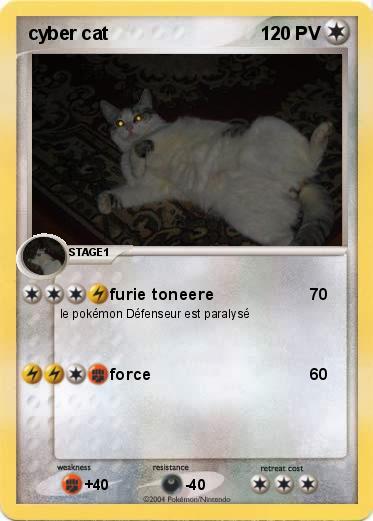 Pokemon cyber cat