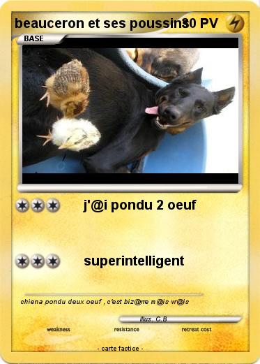 Pokemon beauceron et ses poussins