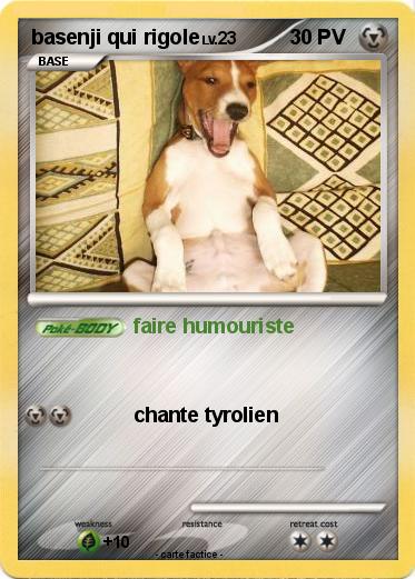 Pokemon basenji qui rigole
