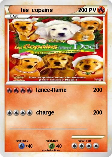 Pokemon les  copains