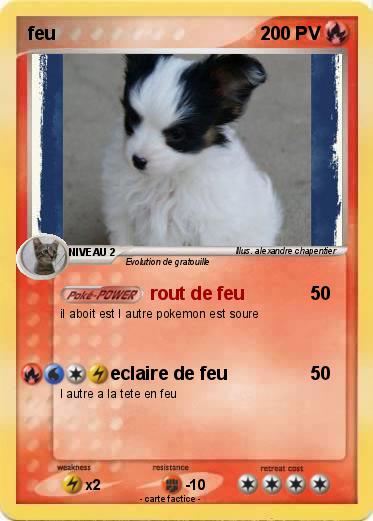 Pokemon feu