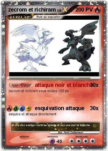 Pokemon zecrom et richiram