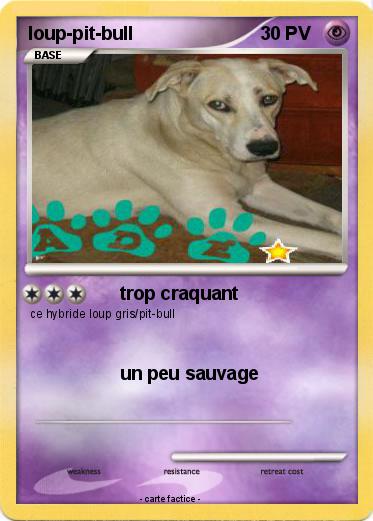 Pokemon loup-pit-bull