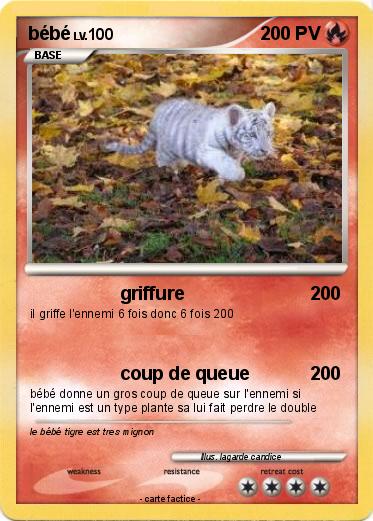 Pokemon bébé