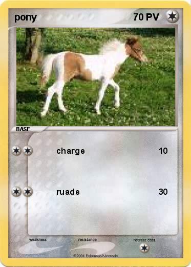 Pokemon pony