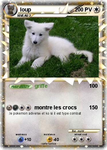 Pokemon loup