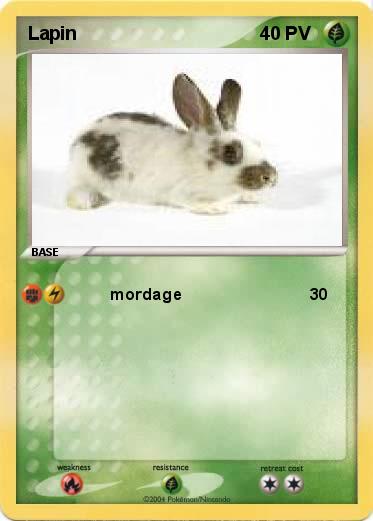 Pokemon Lapin