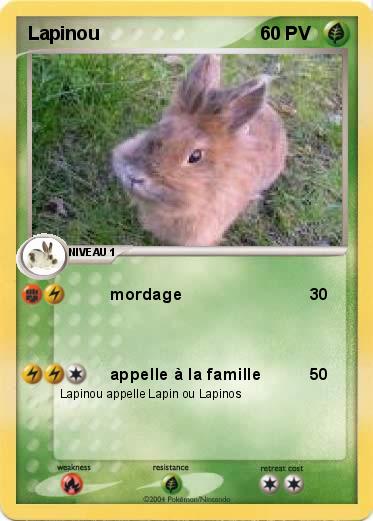 Pokemon Lapinou