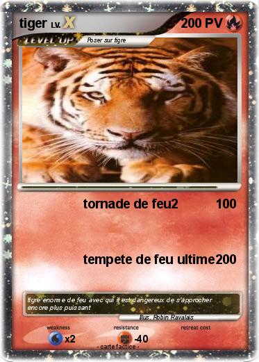 Pokemon tiger