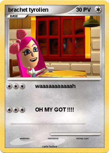 Pokemon brachet tyrolien