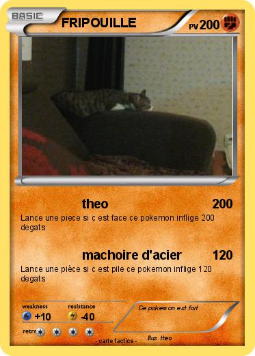 Pokemon FRIPOUILLE
