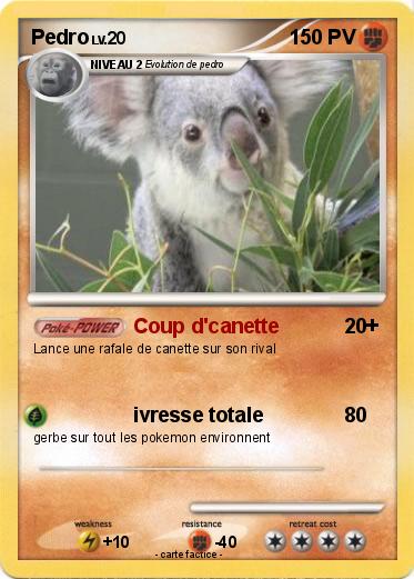 Pokemon Pedro