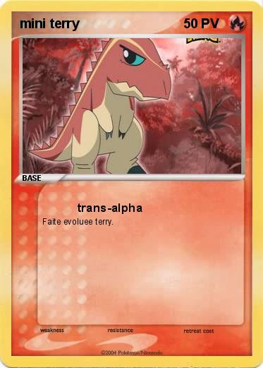 Pokemon mini terry