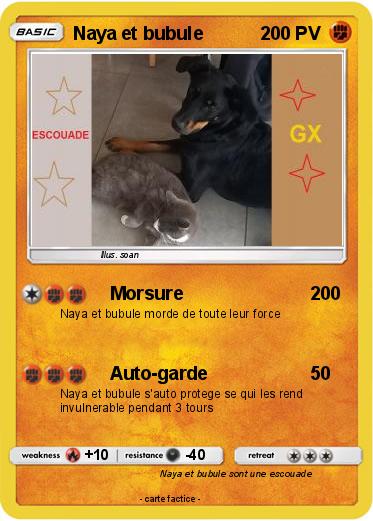Pokemon Naya et bubule