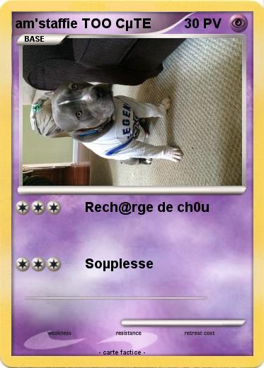 Pokemon am'staffie TOO CµTE