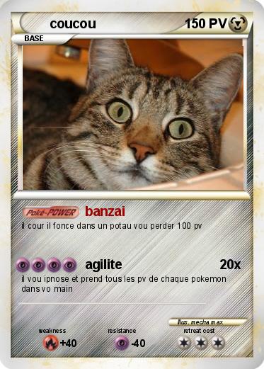 Pokemon coucou