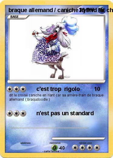 Pokemon braque allemand / caniche hybrid fat chef