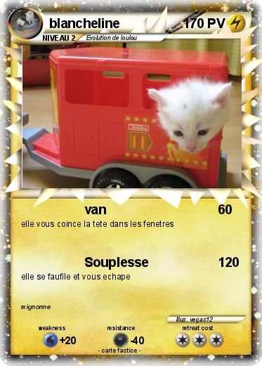 Pokemon blancheline
