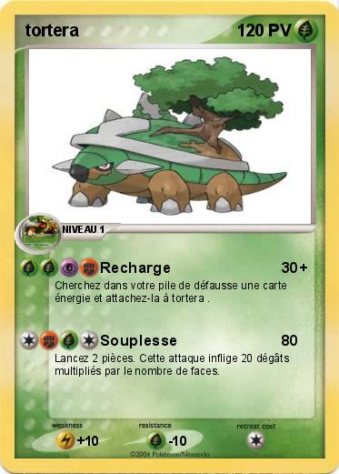 Pokemon tortera