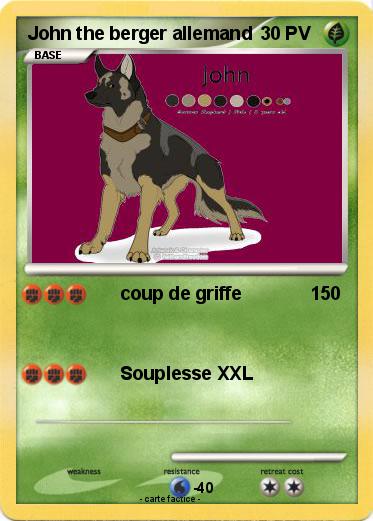 Pokemon John the berger allemand