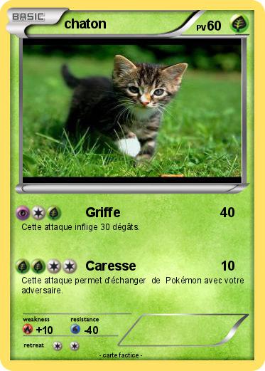 Pokemon chaton