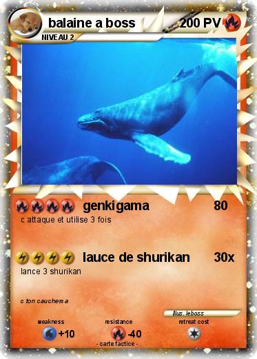 Pokemon balaine a boss