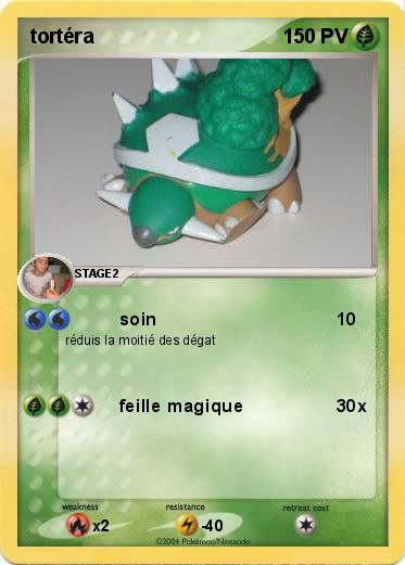 Pokemon tortéra