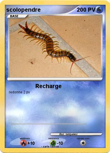 Pokemon scolopendre